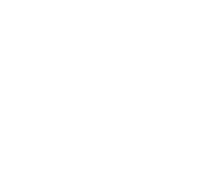 The Blockchain